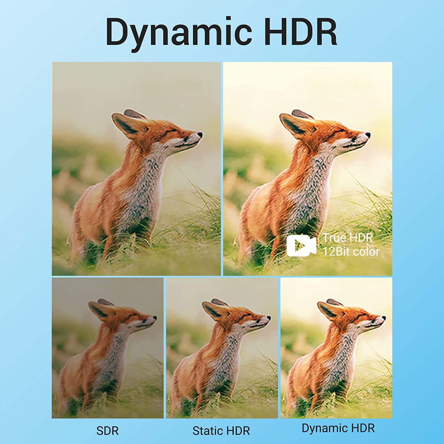 Ultra High-Speed 8K HDMI 2.1 Cable – 48Gbps, Dynamic HDR, Dolby Atmos ...
